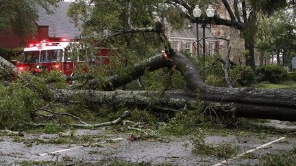 Un arbre entrave la circulation dans une rue de Wilmington, en Caroline du Nord (Etats-Unis), après le passage de l'ouragan Florence, le 14 septembre 2018. (MARK WILSON / GETTY IMAGES NORTH AMERICA / AFP)