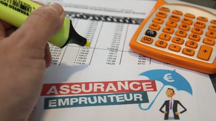 Une personne consulte des documents d'assurance emprunteur pour un emprunt immobilier, le 12 janvier 2018 (illustration). (JEAN-FRANCOIS FREY / MAXPPP)