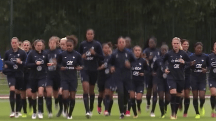 À 40 jours du début de la compétition, samedi 10 juin, des diffuseurs pourraient enfin être trouvés pour la Coupe du monde féminine de football. L'enjeu est important pour le football féminin, qui suscite un grand engouement en France. (franceinfo)