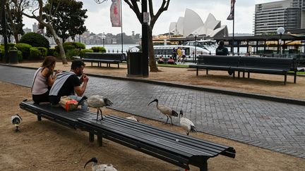 Des Australiens déjeunent sur un banc, à Sydney, le 10 août 2021.&nbsp; (STEVEN SAPHORE / AFP)