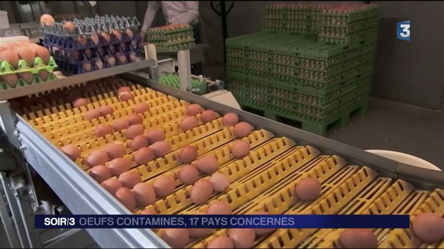 Oeufs Contaminés Les Produits Touchés Vont être Retirés Des Rayons Des Grandes Surfaces Françaises 