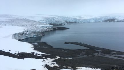 Le glacier Collins, en Antarctique ouest, le 2 février 2018. (MATHILDE BELLENGER / AFP)