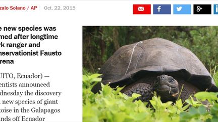 Découverte d’une nouvelle tortue au Galapagos... ( Time)