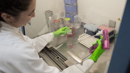 Un chercheur de l'Inserm dans un laboratoire à Nice (Alpes-Martimes), le 12 janvier 2018. (A. NOOR / BSIP / AFP)