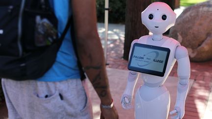 Un projet d'intelligence artificielle incluant un robot de la société française Aldebaran, le 10 octobre 2017 à San Marcos, en Californie (Etats-Unis).&nbsp; (MIKE BLAKE / REUTERS)