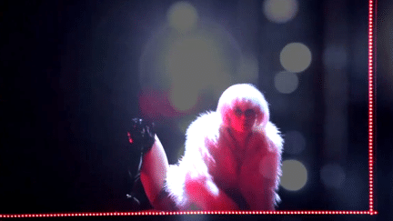 Les danseuses du lac des Cygnes de Fredrik Rydman dans ambiance cabaret au Casinon de Paris
 (France3 / Culturebox)