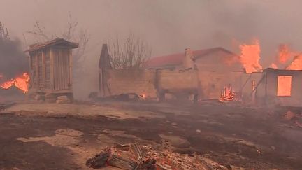 Portugal : la pays ravagé par les incendies