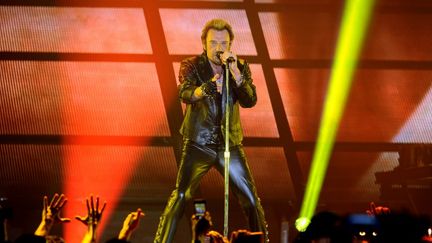 Johnny Hallyday, le 2 juin 2013 en concert &agrave; Bordeaux (Gironde). (NICOLAS TUCAT / AFP)