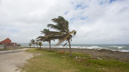 Des rafales soufflent au Moule, en Guadeloupe, le 13 septembre 2018. (CEDRICK ISHAM CALVADOS / AFP)