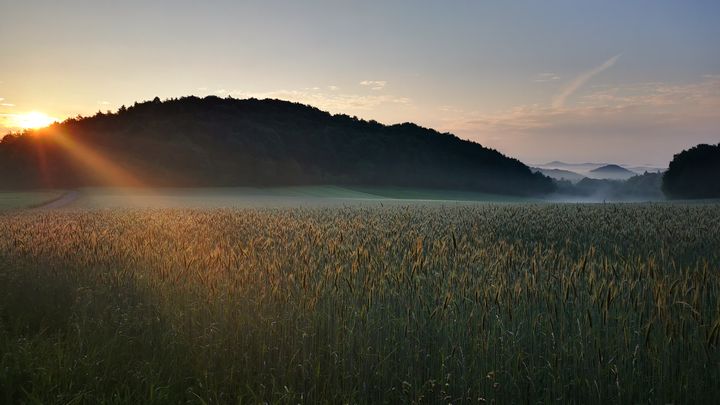 Une aube en Bavière, en Allemagne. (HERVE MAGNIN)