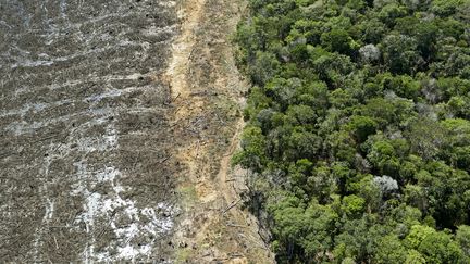 Une photo aérienne montre la déforestation dans une zone proche de Sinop, dans l'Etat du Mato Grosso, au Brésil, le 7 août 2020. (FLORIAN PLAUCHEUR / AFP)