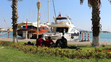 Trois migrants se reposent dans l'herbe en regardant les bateaux dans le port de Bodrum (Turquie), le 21 ao&ucirc;t 2015. (BENOIT ZAGDOUN / FRANCETV INFO)