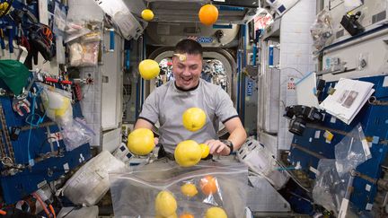 L'astronaute américain&nbsp;Kjell Lindgren ouvre un sachet de fruits frais à bord de la Station spatiale internationale, le 27 août 2015. (NASA)