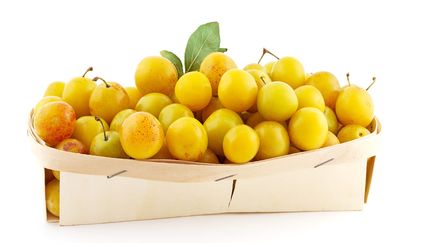  (Mirabelles © Fotolia)