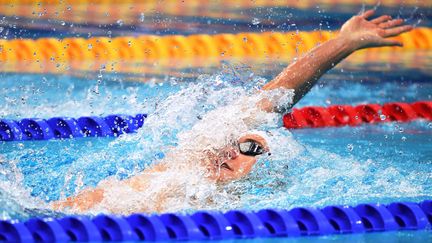 Mewen Tomac lors du 200m dos des derniers championnats d'Europe à Budapest, le 21 mai (ATTILA KISBENEDEK / AFP)