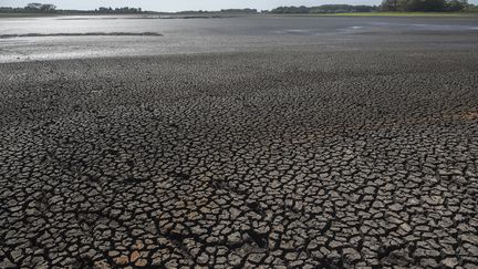 Le réservoir asséché de Canelon Grande au nord de Canelones, dans le sud de l'Uruguay, le 14 mars 2023, alors que le pays traverse une grave sécheresse. (PABLO PORCIUNCULA / AFP)