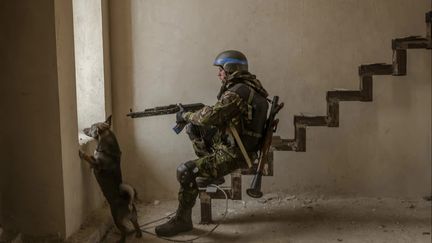 Parmi les clichés exposés, celui d'un&nbsp;soldat ukrainien accompagné d'un chien errant, immortalisé par le photographe australien multiprimé.&nbsp; (© Daniel Berehulak pour The New York Times / MAPS / France 3 Occitanie)