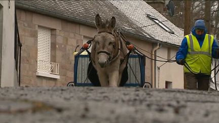 Creuse : une maraîchère et son âne ramassent les déchets