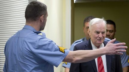 Ex-Yougoslavie : Ratko Mladic, le boucher des Balkans, condamné à la perpétuité