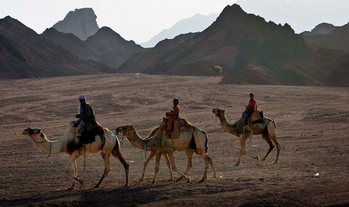 Des bédouins égyptiens dans le désert du Sinaï, le 26 avril 2006. L'Egypte a récupéré le Sinaï après la signature des accords de camp David en 1978. (Photo Reuters/Goran Tomasevic)