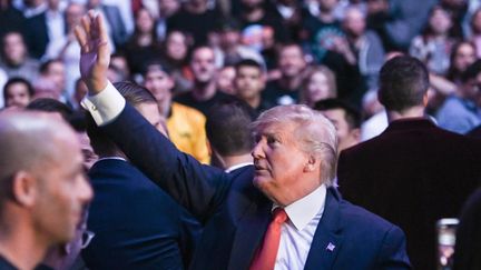 Le président américain Donald Trump au Madison Square Garden, à New York (Etats-Unis), le 2 novembre 2019, lors d'une soirée de combats de MMA. (ANDREW CABALLERO-REYNOLDS / AFP)