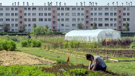 La ferme de Saint-Denis, ici le 19 mai 2018, emploie cinq salariés. (BRUNO LEVESQUE / MAXPPP)