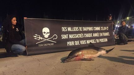 Les militants ont déposé un dauphin mort sur le port.&nbsp; (JULIE PACAUD/RADIOFRANCE)