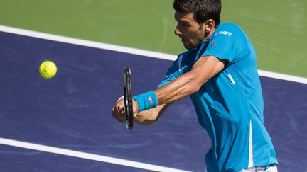 Novak Djokovic (ROBYN BECK / AFP)