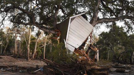 Une construction encastrée dans un arbre après le passage des coulées de boues à Montecito, en Californie, le 10 janvier 2018.&nbsp; (ROBYN BECK / AFP)