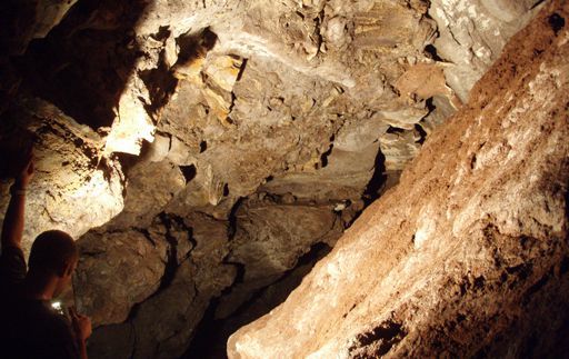 Cette salle fait partie du complexe de galerie de la grotte Sterkfontein. C'est en étudiant les dépôts accumulés dans ces pièges naturels que l'on arrive à en comprendre l'histoire géologique ainsi que celle des fossiles qui y sont enfouis. (Laurent Bruxelles - Inrap)