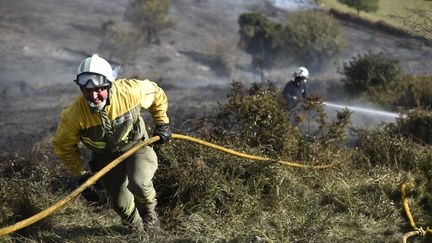 Les feux de forêts, inhabituels à cette période de l'année, ont fait pour l'instant une victime, un pilote qui est mort dans la chute de son hélicoptère. (AFP PHOTO / ANDER)