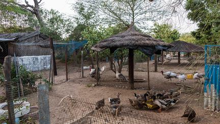 Grâce à la ferme pédagogique, le reboisement des terres et les pépinières, la production agricole a pu se développer et se diversifier. «On réimplante aussi des essences d’arbres et des plantes qui avaient disparu», explique une villageoise. Cette agro-écologie a permis aux habitants de se nourrir mais aussi d’augmenter leurs revenus.   (Nathalie Guironnet)