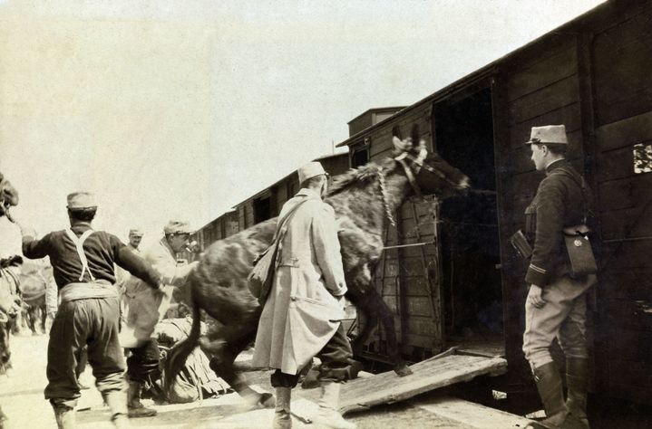 Photographie prise en Lorraine, provenant d'un album personnel d'un lieutenant d'infanterie français durant les premiers mois de la Première Guerre mondiale, en 1914. (PHOTO JOSSE / AFP)