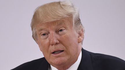 Le président des Etats-Unis, Donald Trump, lors du G20 à Hambourg (Allemagne), le 8 juillet. (SAUL LOEB / AFP)