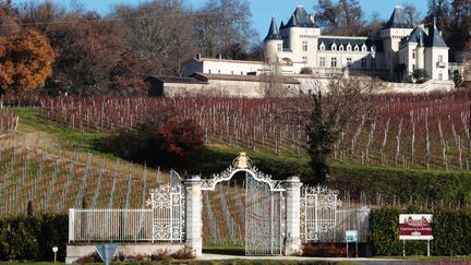 Le ch&acirc;teau de La Rivi&egrave;re et son vignoble, en Gironde, le 20 d&eacute;cembre 2013.&nbsp; (  MAXPPP)