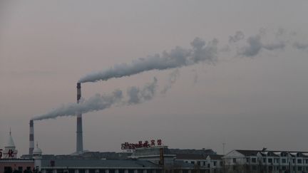 Une usine à&nbsp;Weihai, dans la province du&nbsp;Shandong, en Chine, le 12 décembre 2016.&nbsp; (A QIANG / IMAGINECHINA / AFP)