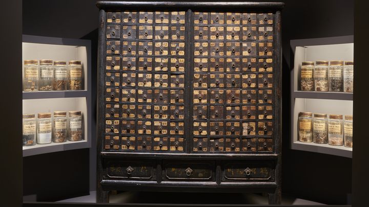 Armoire à pharmacie - Chine, 19e siècle - Bois laqué, papier, métal - H.172,5 cm/L. 152 cm/P. 63,5 cm (MUSEE DES CONFLUENCES, LYON, COLLECTION DAUTRESME/OLIVIER GARCIN)