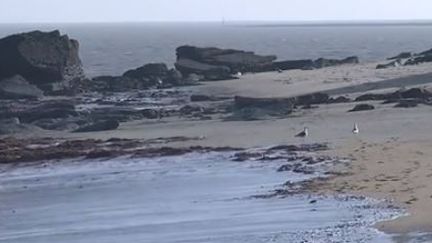 Des fêtes de fin d'année sous le soleil de Noirmoutier