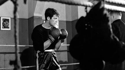 L'acteur Jean-Paul Belmondo en boxeur, dans "L'Aîné des Ferchaux", film soirtie en 1963. (SPECTACLES LUMBROSO / ULTRA FILM / COLLECTION CHRISTOPHEL VIA AFP)