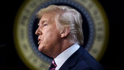 Donald Trump s'exprimer depuis Washington (Etats-Unis), le 19 décembre 2019. (BRENDAN SMIALOWSKI / AFP)