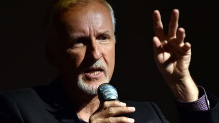 James Cameron à New York en août 2014. (STAN HONDA / AFP)