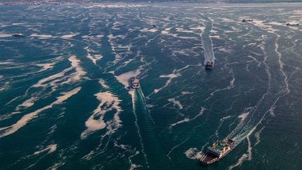 Des bateaux&nbsp;en mer de Marmara (Turquie), le 12 juin 2021. (YASIN AKGUL / AFP)