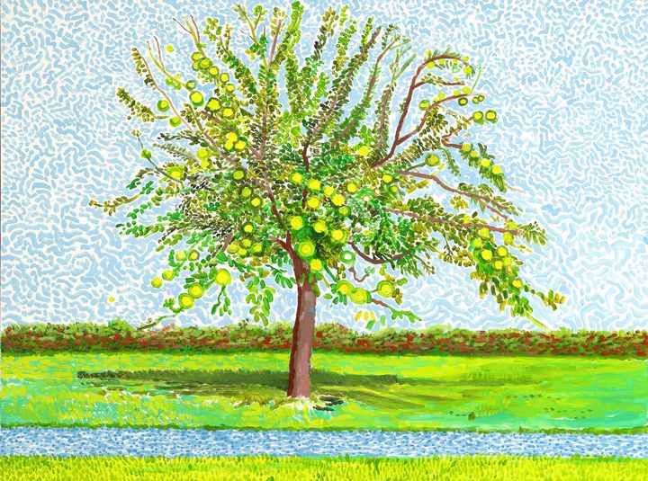 David Hockney,"Apple Tree", 2019, Acrylique sur toile, 91,4 x 121,9 cm (© David Hockney, Crédit photo : Richard Schmidt, Courtesy Galerie Lelong & Co. Paris)