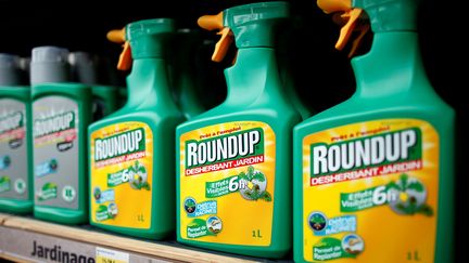 Du désherbant de la marque Roundup, contenant du glyphosate, dans un magasin de Bonneuil-sur-Marne (Val-de-Marne), le 16 juin 2015. (CHARLES PLATIAU / REUTERS)