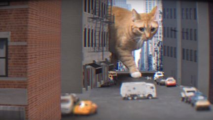 Extrait du clip de Meow the Jewels "Oh My Darling (don't Meow)"
 (saisie écran)