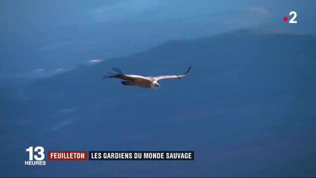 Feuilleton : les gardiens du monde sauvage (1/5)