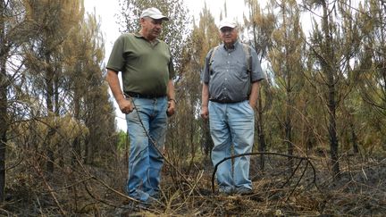 Patrick Maurin et Jean-Michel Landureau ont perdu plusieurs centaines d'hectares de for&ecirc;t entre l'incendie de 2009 et celui de 2015. (ELISE LAMBERT / FRANCETV INFO)