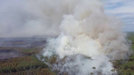 Incendie en Gironde : 3 200 hectares brûlés par un feu difficile à maîtriser (FRANCE 2)