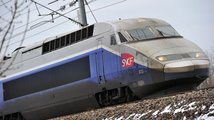 Un TGV, le 7 mars 2012, pr&egrave;s de Lille (Nord). (PHILIPPE HUGUEN / AFP)