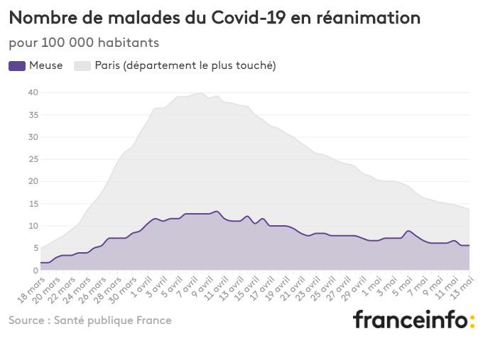 Nombre de malades du Covid-19 en réanimation pour 100 000 habitants. (FRANCEINFO)